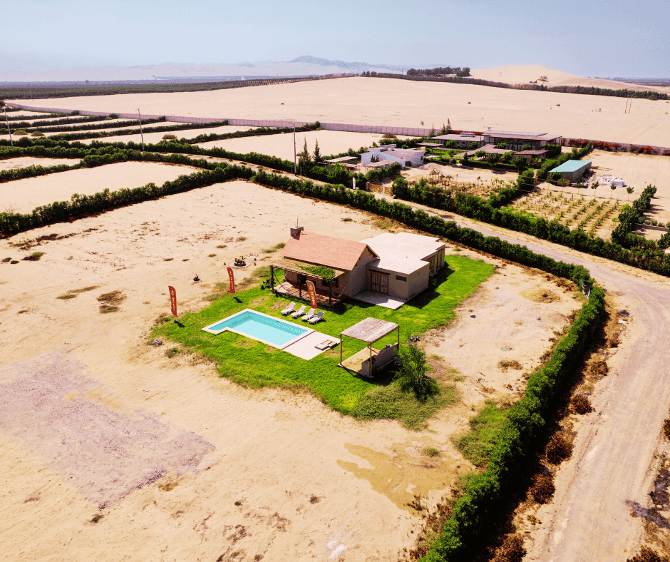 Diseño sin título (1) (1)